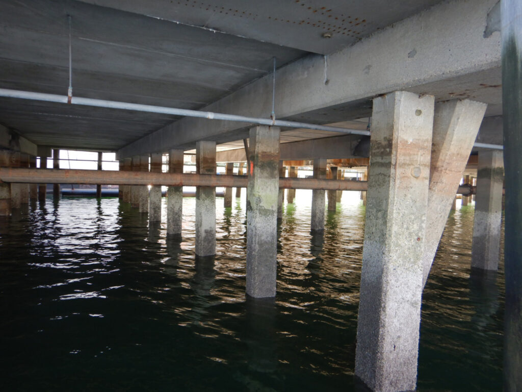 Concrete pile corrosion and structural analysis