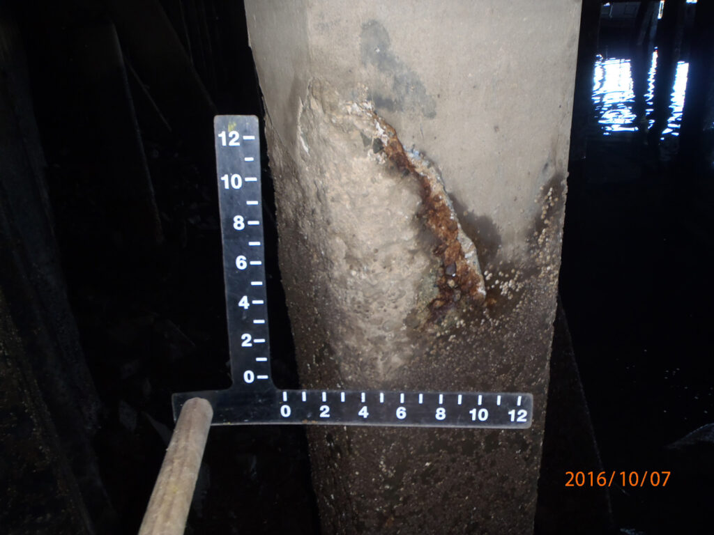 Concrete pile corrosion and structural analysis